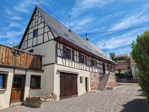 Buhl Häuser, Buhl Haus kaufen