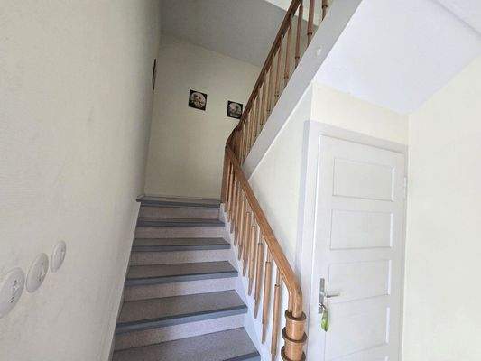 20250904_113321 (Mittel).jpg