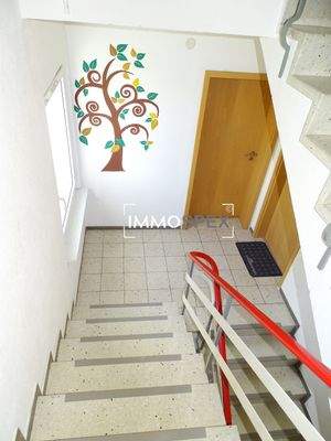 Zweifamilienhaus in Rheinfelden6.jpg