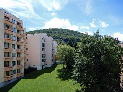 Bad Harzburg Wohnungen, Bad Harzburg Wohnung kaufen