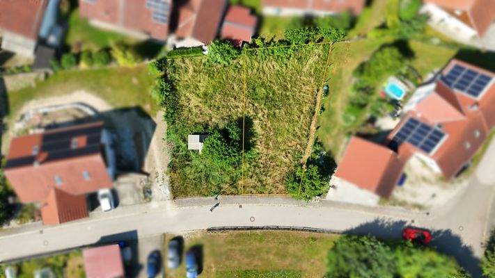 20250620_082506297_iOS - Kopie.jpg