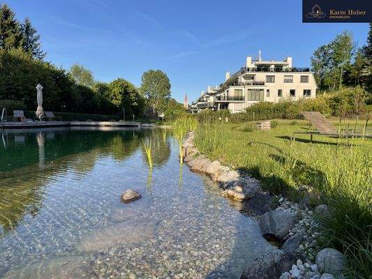 Bild 19