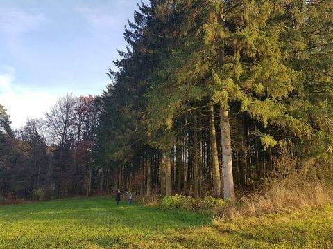 Hormersdorf Schnaittach Grundstücke, Hormersdorf Schnaittach Grundstück kaufen