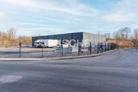 Münster / Amelsbüren Halle, Münster / Amelsbüren Hallenfläche