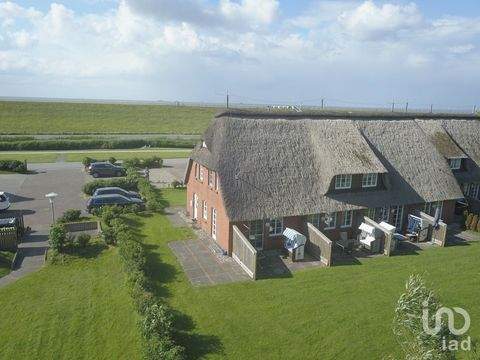 Nordstrand Häuser, Nordstrand Haus kaufen