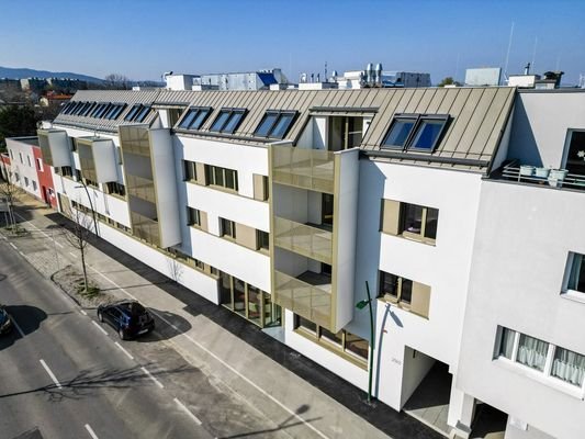 Bild 17