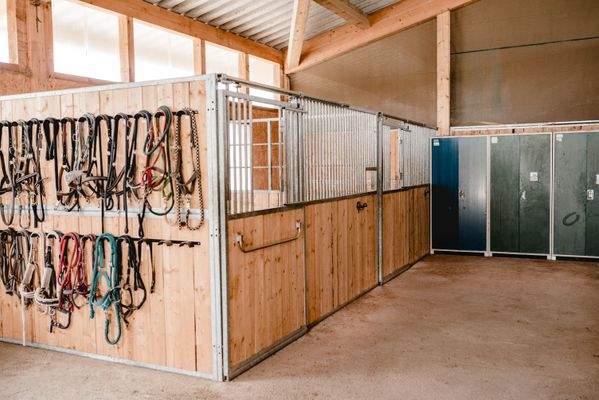 Putz- und Sattelbereich_2