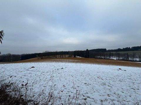 Fraunberg Bauernhöfe, Landwirtschaft, Fraunberg Forstwirtschaft