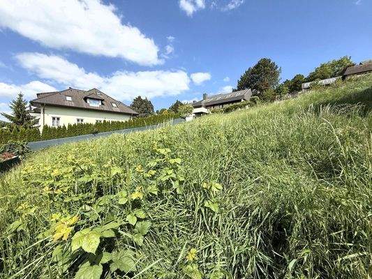 süd-westliche Ansicht des Baugrundstücks
