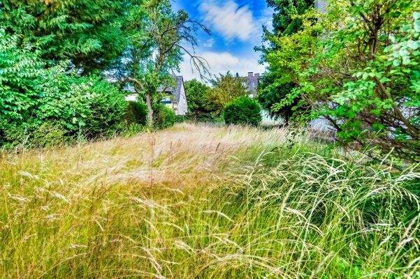 Garten und Grundstück