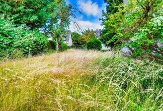 Garten und Grundstück