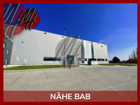 Babenhausen Halle, Babenhausen Hallenfläche