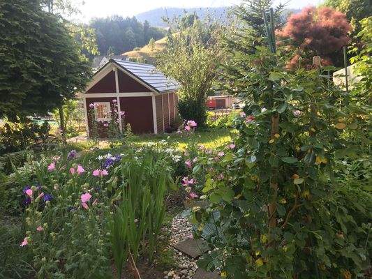 Ausblick in den Garten