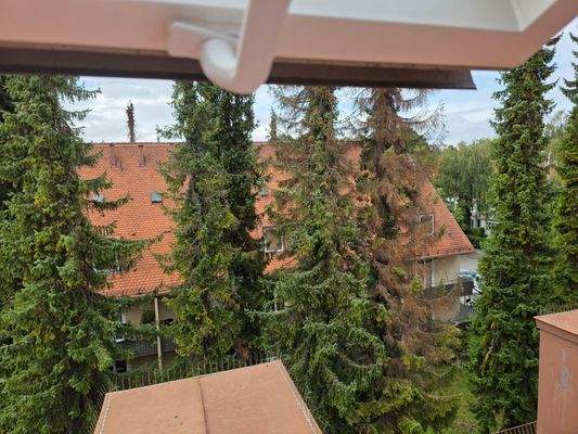 Ausblick DG Fenster.jpg