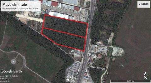 Cancún Centro Bauernhöfe, Landwirtschaft, Cancún Centro Forstwirtschaft