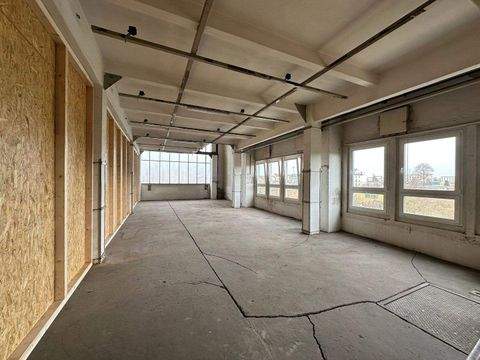 Glauchau Halle, Glauchau Hallenfläche