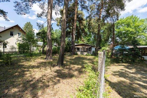 Das linke Grundstück