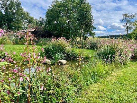 Idyllischer Bachlauf