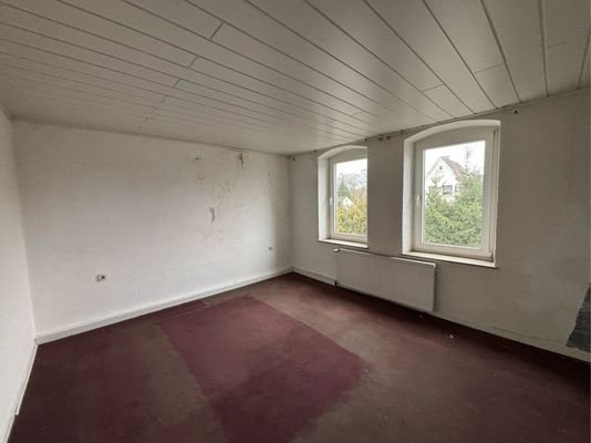 Zimmer DG