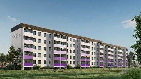 Schönhausen (Elbe) Wohnungen, Schönhausen (Elbe) Wohnung mieten