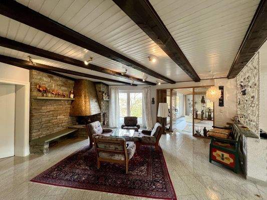 Empfangsbereich / Kaminzimmer