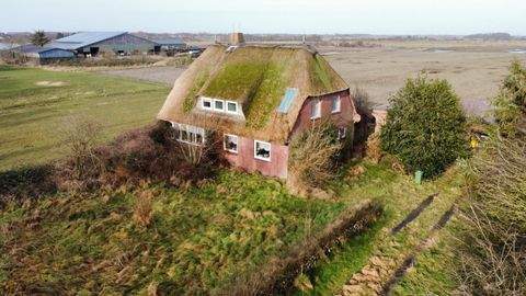 Nieblum Häuser, Nieblum Haus kaufen