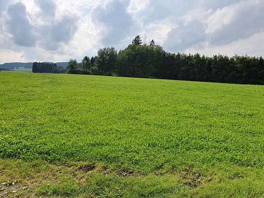 Landwirtschaftlich genutztes Grundstück