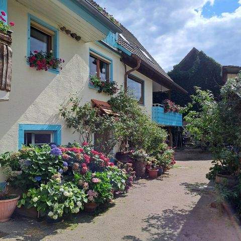Herbolzheim Häuser, Herbolzheim Haus kaufen