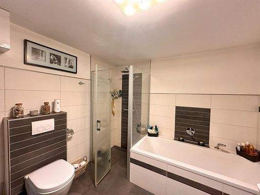 17 makellos EFH Schorrentin.JPG