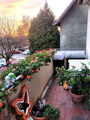 Wohnung 1.OG links 67a