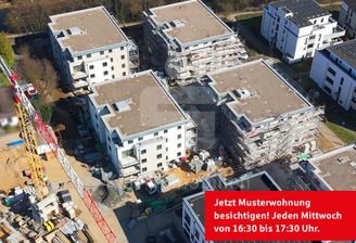 Draufsicht