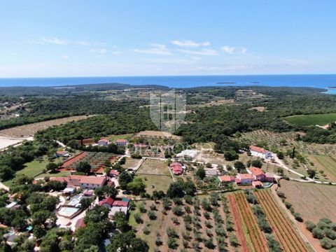 Rovinj center Bauernhöfe, Landwirtschaft, Rovinj center Forstwirtschaft