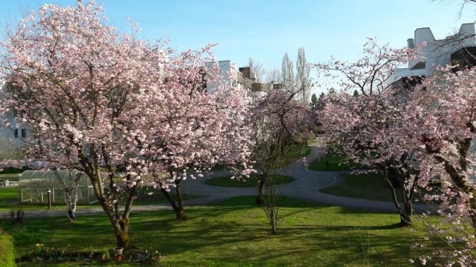 2,5 Zimmer Wohnung in München (Hadern)