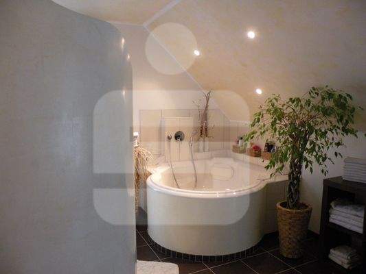 Badezimmer Haupthaus