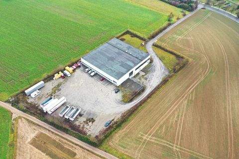 Heilbronn Halle, Heilbronn Hallenfläche