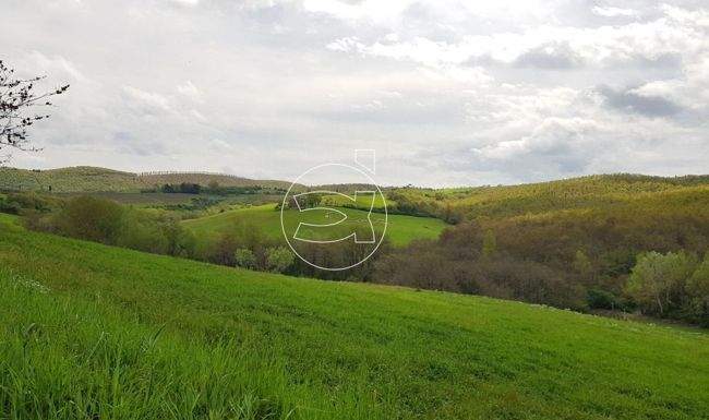 Großzügiges Anwesen in Panoramalage