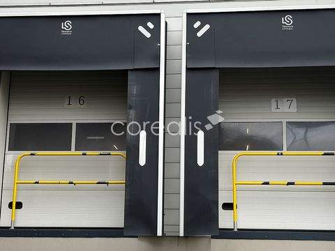 Köln Halle, Köln Hallenfläche