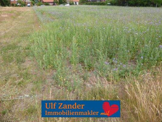 Baugrundstück für 18 Wohnungen