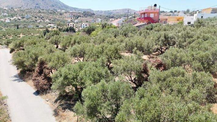 Kreta, Plaka: Zwei erstklassige Grundstücke in Plaka – Meerblick und zentrale Lage