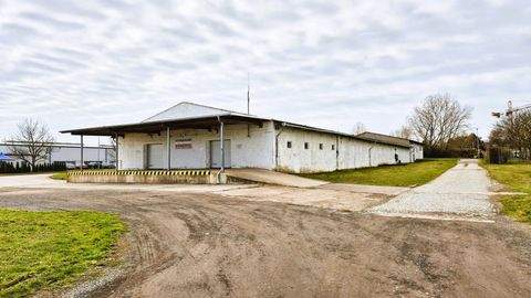 Edersleben Halle, Edersleben Hallenfläche