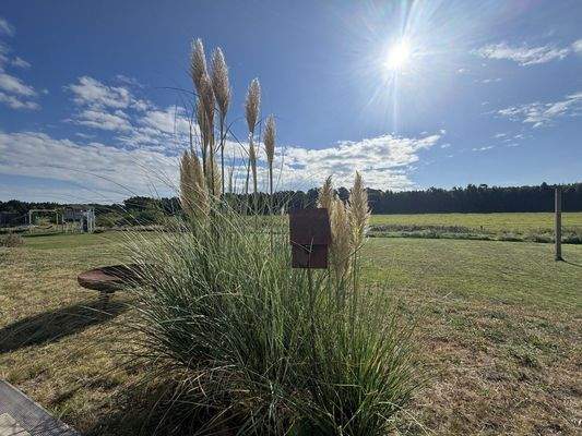 Blick über die Felder