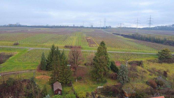 In ruhiger Weinberglage