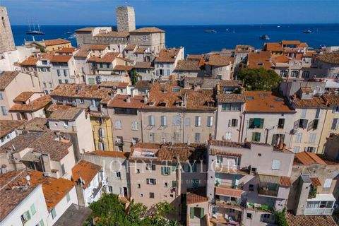 Antibes Wohnungen, Antibes Wohnung kaufen