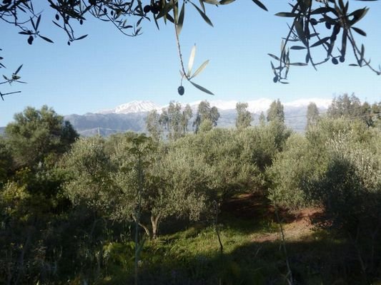 Kreta, Litsarda: Grundstück mit Meerblick und Baugenehmigung zu verkaufen