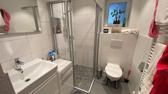 Bad mit Walk in Dusche im Erdgeschoss