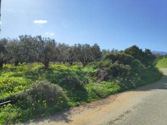 Zum Verkauf auf Kreta, Milatos: Baugrundstück in der Nähe des Hafens