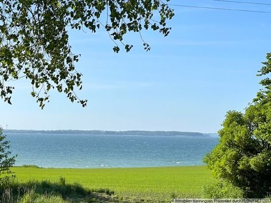 Blick nach Dänemark vom Grundstück