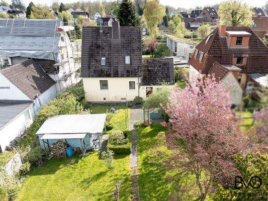 Blick aus dem Garten