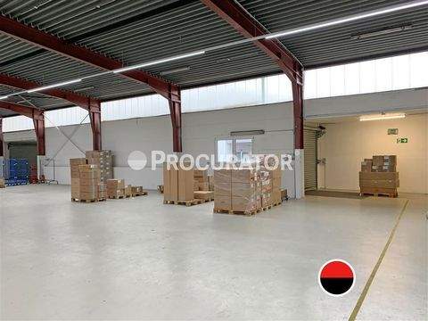 Hamburg Halle, Hamburg Hallenfläche