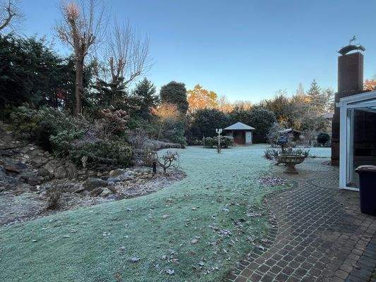 Rasenfläche und bepflanzter Hügel 